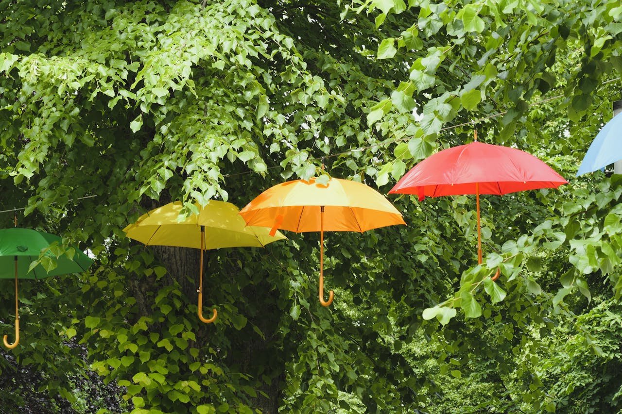Brightly colored umbrellas hanging among lush green tree leaves, creating a whimsical outdoor scene.